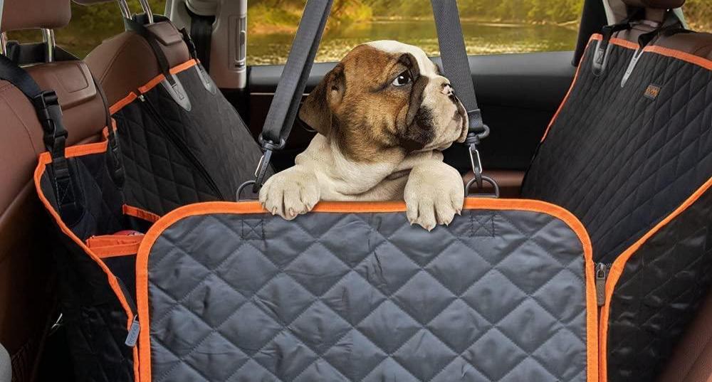 Ibuddy dog deals car seat covers